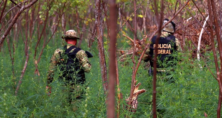 Líder de organização criminosa é preso por crimes ambientais no Projeto de Assentamento Antimary