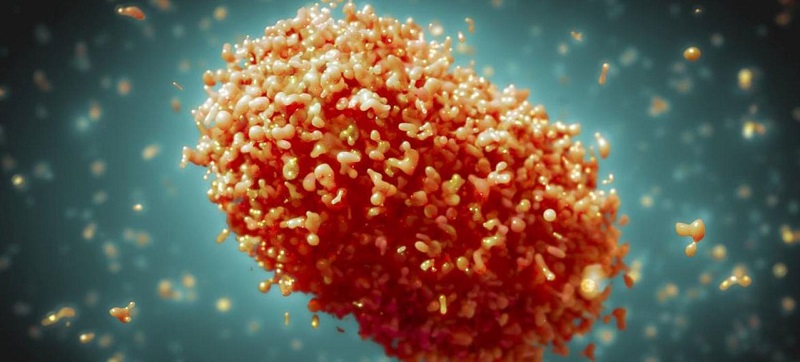 Sesacre confirma mais dois casos suspeitos de varíola dos macacos