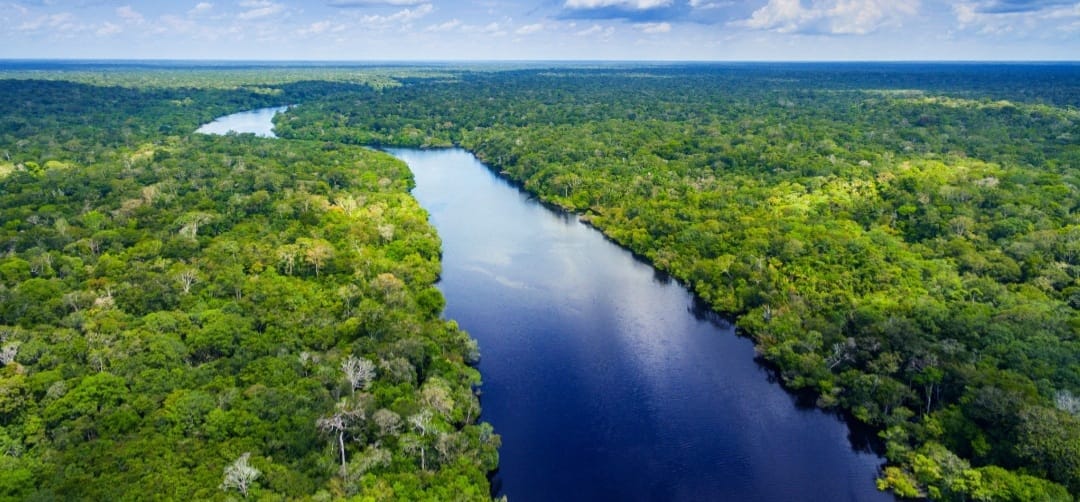 AMAZÔNIA, A MÃE DO BRASIL E O PULMÃO DO MUNDO,  FAZ ANIVERSÁRIO HOJE (05/09)