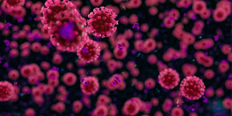 Acre registra 23 casos e nenhuma morte por Covid-19 neste sábado