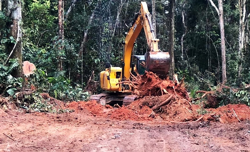 MPF e MP/AC pedem que Justiça anule autorização para abertura de estrada entre Porto Walter e Rodrigues Alves