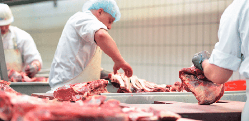 Sine oferece 32 vagas de emprego para Rio Branco nesta segunda-feira