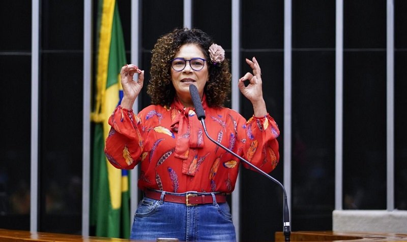 Em discurso na tribuna, Perpétua critica regras que prejudicam políticos bem votados