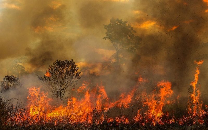 Governo Federal pede que Tarauacá e Rio Branco entrem na lista de municípios prioritário no combate as queimadas