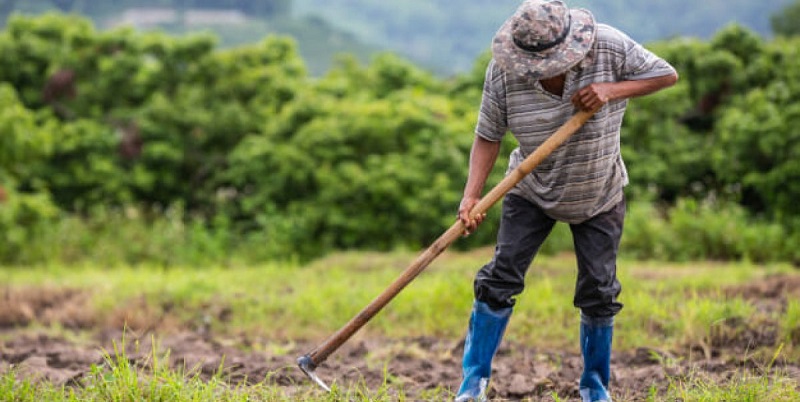 Sine oferece 60 vagas de emprego para Rio Branco nesta quinta-feira
