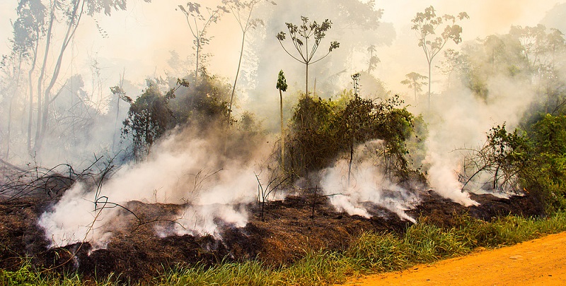 Organizações socioambientais pedem indenização de R$ 189 milhões por danos na Resex Chico Mendes