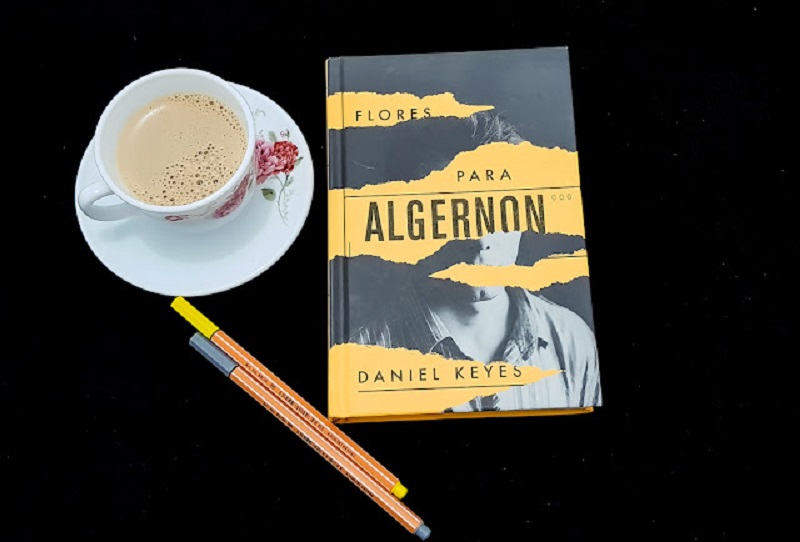 Flores para Algernon: uma percepção do mundo através de outros olhos