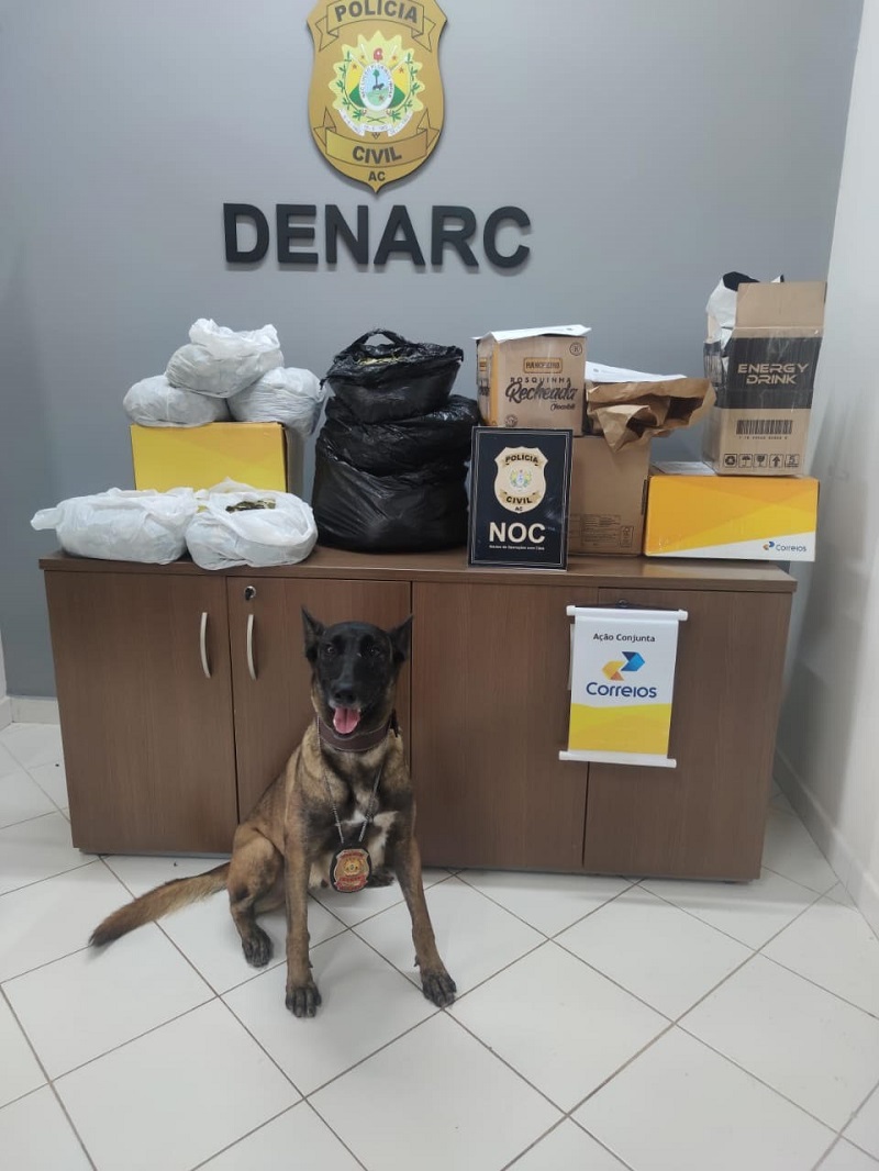 Em Rio Branco, mais de 10 kg de folhas de coca são apreendidas em embalagens dos Correios