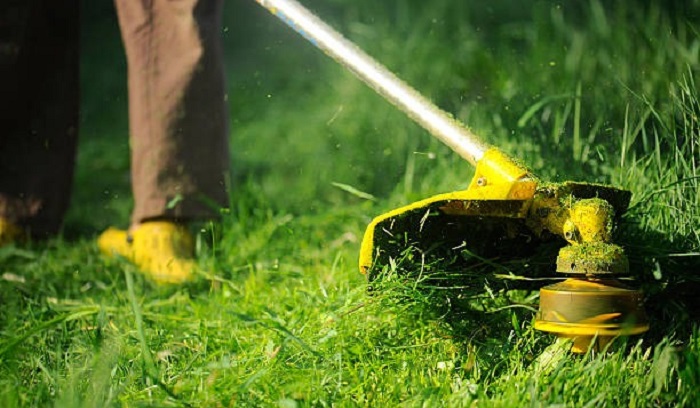 Precisa de emprego? Sine oferta 100 vagas para Rio Branco nesta segunda-feira