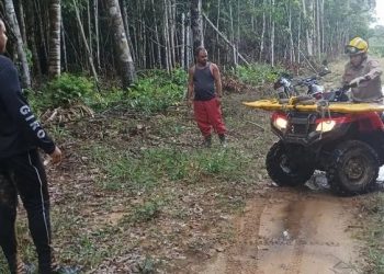 Homem morre após ser atingido por árvore durante derrubada no interior do Acre