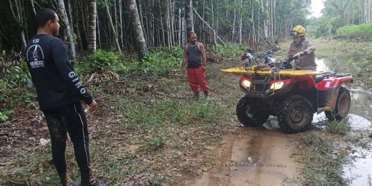 Homem morre após ser atingido por árvore durante derrubada no interior do Acre