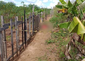 Corpo de jovem é encontrado em área de mata da Cidade do Povo