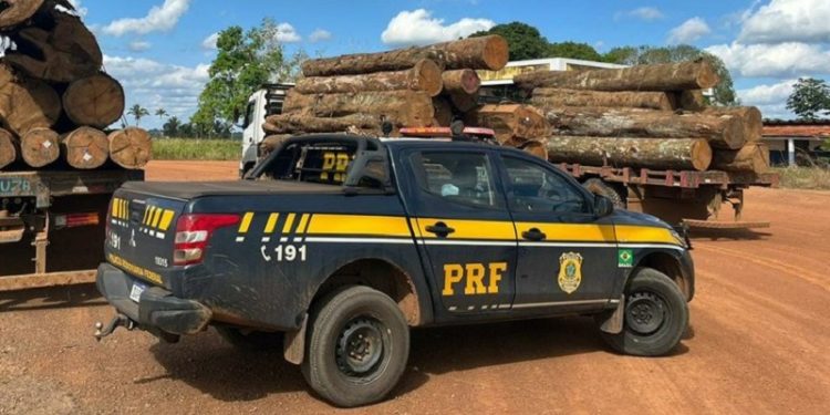 Em operação, PRF combate extração ilegal e grilagem no Acre