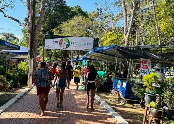 VIII edição da Ecoflores reúne 150 expositores do Brasil, Peru, Bolívia e Venezuela