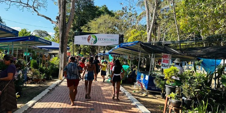 VIII edição da Ecoflores reúne 150 expositores do Brasil, Peru, Bolívia e Venezuela