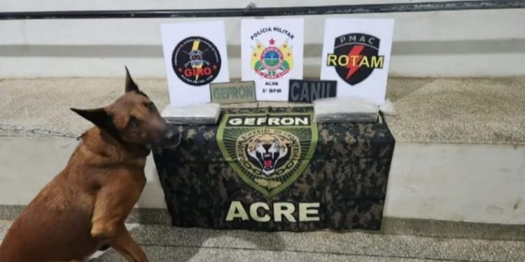 Homem é preso ao transportar quase 2kg em drogas de Cruzeiro do Sul para Tarauacá