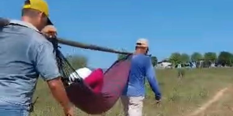 Mulher é carregada na rede por 6 km pelos vizinhos após ser atingida por chifre de vaca em ramal de Rio Branco