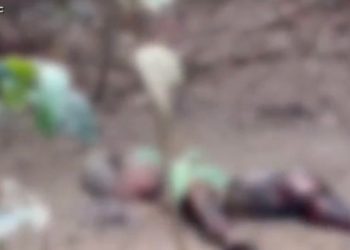 Corpo de homem é encontrado em região de mata no bairro Cidade do Povo