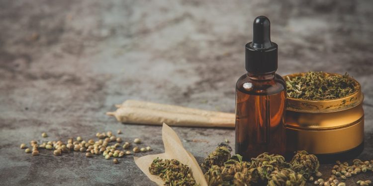 STF deve julgar nesta quinta se porte de drogas para uso pessoal é crime