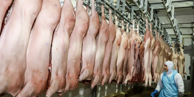 Acre recebe autorização para exportar carne suína para a República Dominicana