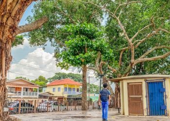 Secretaria de Obras Públicas anuncia processo licitatório para revitalização da Gameleira