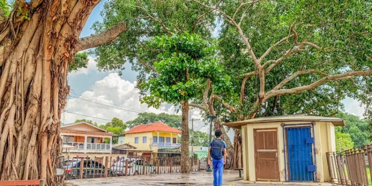 Secretaria de Obras Públicas anuncia processo licitatório para revitalização da Gameleira