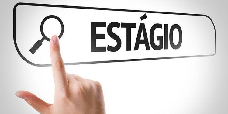 Governo do Acre publica edital com mais de 100 vagas para estágios; confira