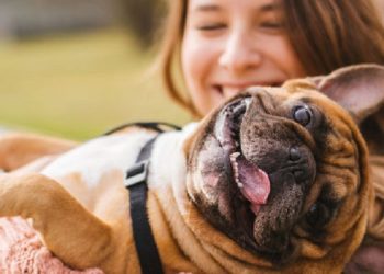 Lei proíbe tutores acusados de maus-tratos de adquirirem novos animais domésticos no Acre
