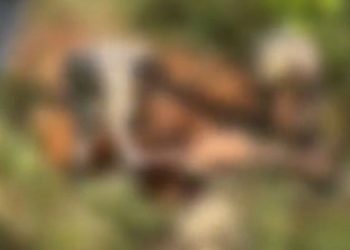 Polícia investiga possível primeiro caso de feminicídio em 2023 em Senador Guiomard