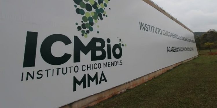 ICMBio abre concurso público com 98 vagas para analista ambiental; salário de quase R$ 10 mil