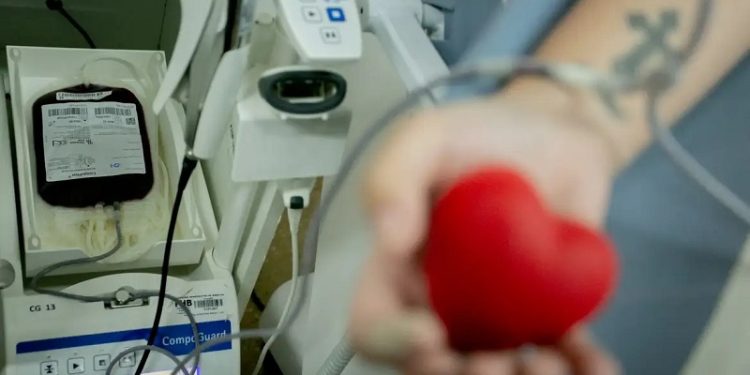 Hemovida: conheça o aplicativo que incentiva na doação de sangue