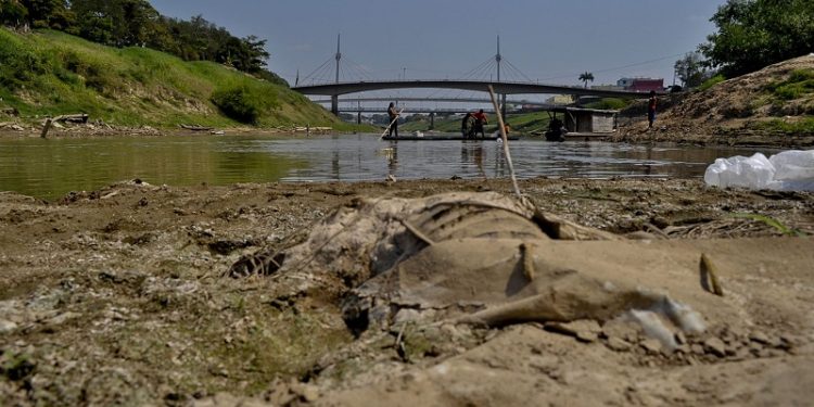 Nível do Rio Acre não registrava 3 metros desde junho de 2023, informa Defesa Civil de Rio Branco