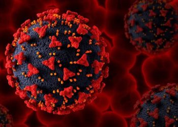 Prefeitura de RB disponibiliza unidades de saúde exclusivas para tratar do Covid-19; confira