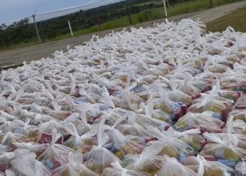 Grupo ‘Amigos Solidários’ distribui cestas básicas para famílias carentes de Rio Branco