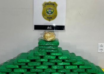 Polícia Civil do Acre apreende quase uma tonelada de drogas no Vale do Juruá em 2023
