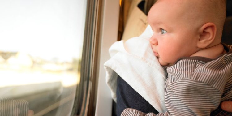 Projeto de lei prevê transporte gratuito para pais levarem recém-nascidos a consultas