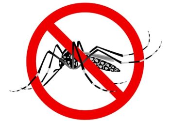 Situação de emergência é decretada no Acre após aumento no número de casos de dengue