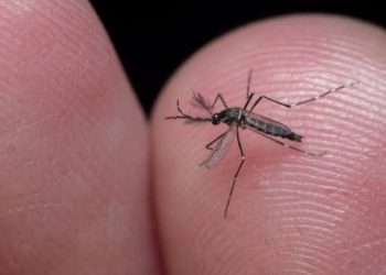 Detento morre de dengue no interior do Acre e Iapen esclarece o caso