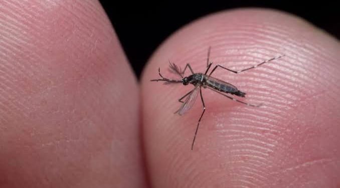 Detento morre de dengue no interior do Acre e Iapen esclarece o caso