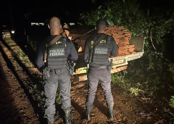 PF prende homem por suposto crime ambiental no interior o Acre