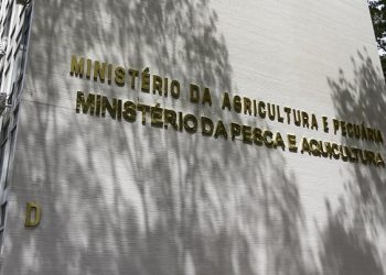 Ministério da Pesca e Aquicultura anuncia concurso com quase 300 vagas; confira