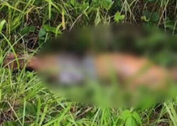 Cerca de 65% das vítimas fatais em acidente de trânsito no Acre em 2023 são motociclistas