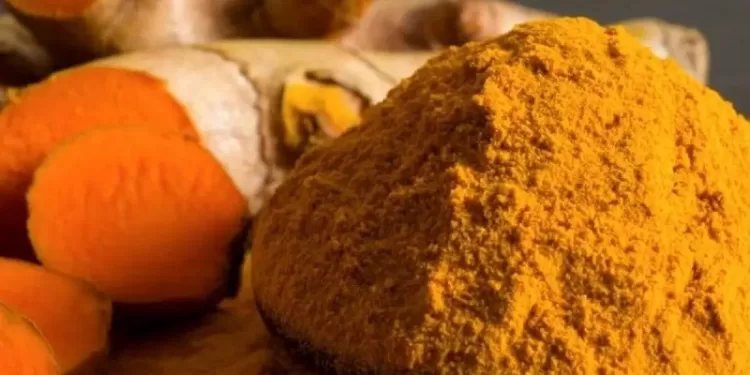 Açafrão: conheça todos os benefícios dessa raiz