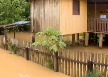 Cerca de 10 mil pessoas podem ser atingidas com cheia do Rio Acre em Brasiléia