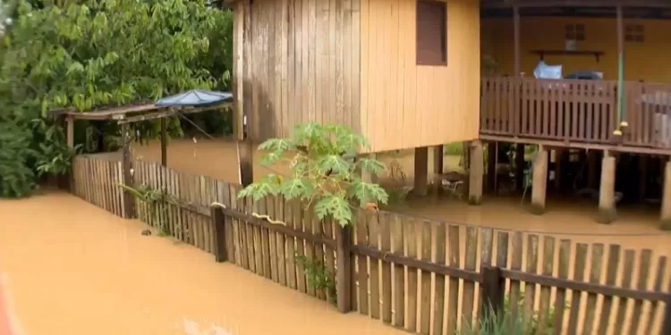 Cerca de 10 mil pessoas podem ser atingidas com cheia do Rio Acre em Brasiléia