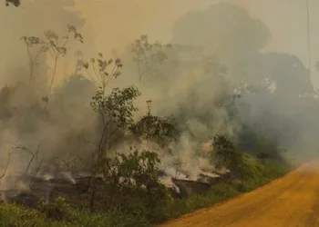 Xapuri foi a cidade brasileira com o ar mais poluído em 2023, segundo levantamento