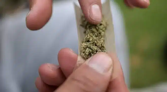 STF retoma em 6 de março julgamento que decide se porte de drogas para uso pessoal é crime