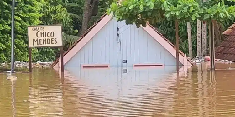 Em Xapuri, Rio Acre ultrapassa 17 metros e quase 5 mil pessoas são atingidas