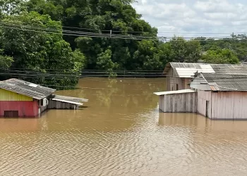 Rio Acre apresenta sinais de estabilidade e mantém 17,78 metros há seis horas, em Rio Branco
