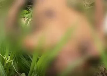 Homem suspeito de assassinar morador de rua espancado é preso no interior do Acre